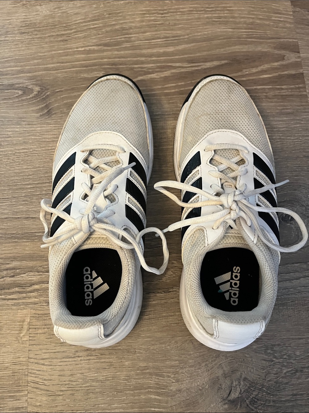 Adidas Golf Shoes